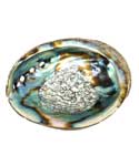 3" - 4" Abalone Shell incense burner