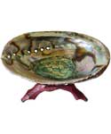 5"- 6" Abalone Shell incense burner with stand