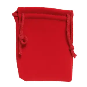 Red Velveteen Bag